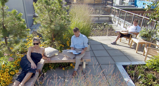 The High Line Park in New York: The “longest green roof in the world”