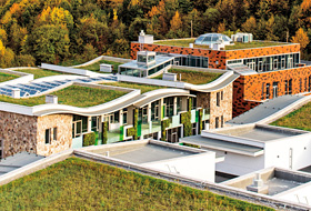 Buildings with wavelike and flat green roofs