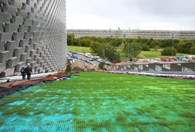 Grass growing through synthetic mats on a pitched green roof