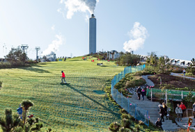 People skiing on a pitched green roof