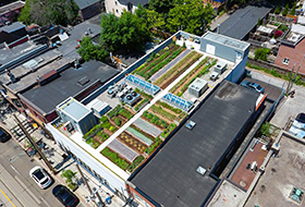 Green roof from bird's eye view