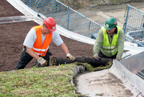 The vegetation mats are trimmed to fit the edging area.
