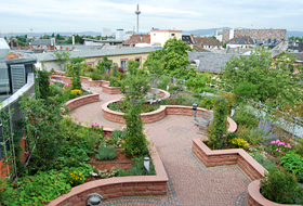 Roof garden with raised beds