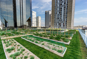 Urban farming roof garden on the rooftop o “Le Cordon Bleu”