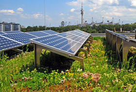 Green roof combined with a solar energy system
