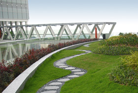 Roof garden with lawn