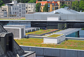 Extensive green roofs in the city