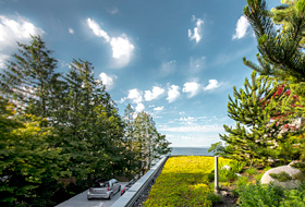 Extensive green roof and road