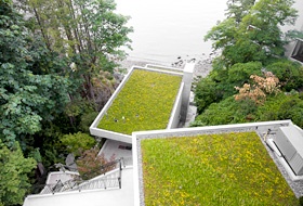 Extensive green roofs surrounded by large trees