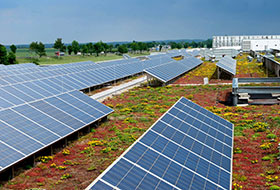 Sedum roof and solar panels