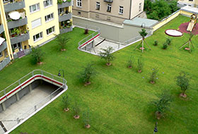 Green roof with lawn on top of an underground garage