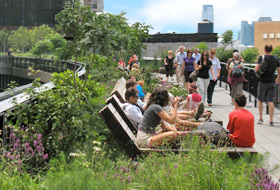 Relaxation zone in the High Line Park