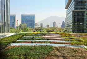 Green roof in the city