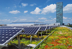 Green roof combined with a solar installation