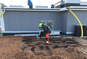 Substrate is being applied on a roof
