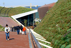 Pitched green roofs