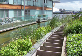 Green roof with water channel