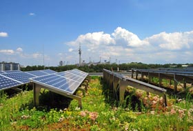 Combination of green roofing and photovoltaic system
