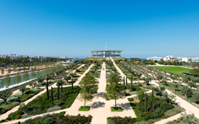 Large roof garden with mediterranean vegetation