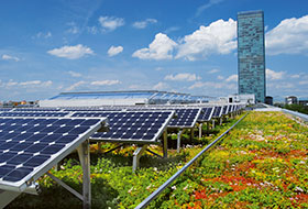 Green roof in combination with photovoltaics