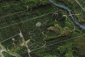 Aerial view of wooded area