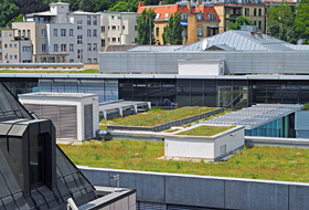 Extensive green roof in the city
