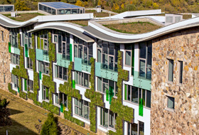Building with green roofs and green facade