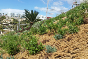 Pitched green roof with nets made of coconut fibres