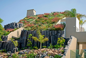 Pitched green roof with rocks and palm trees